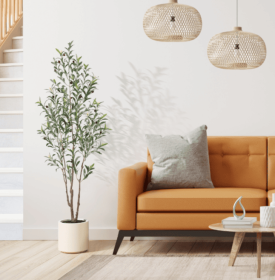 Simple Style Olive Tree (Option: 180cm)
